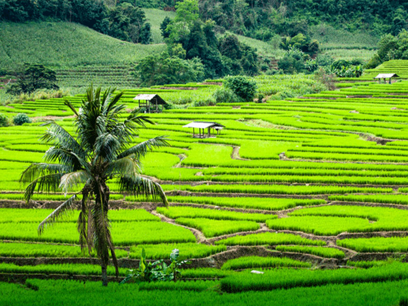 ที่เที่ยวปาย ( Pai Mae Hong Son) ต้องห้ามพลาด ปาย แม่ฮ่องสอน 1731760073Sayhithailand01.jpg