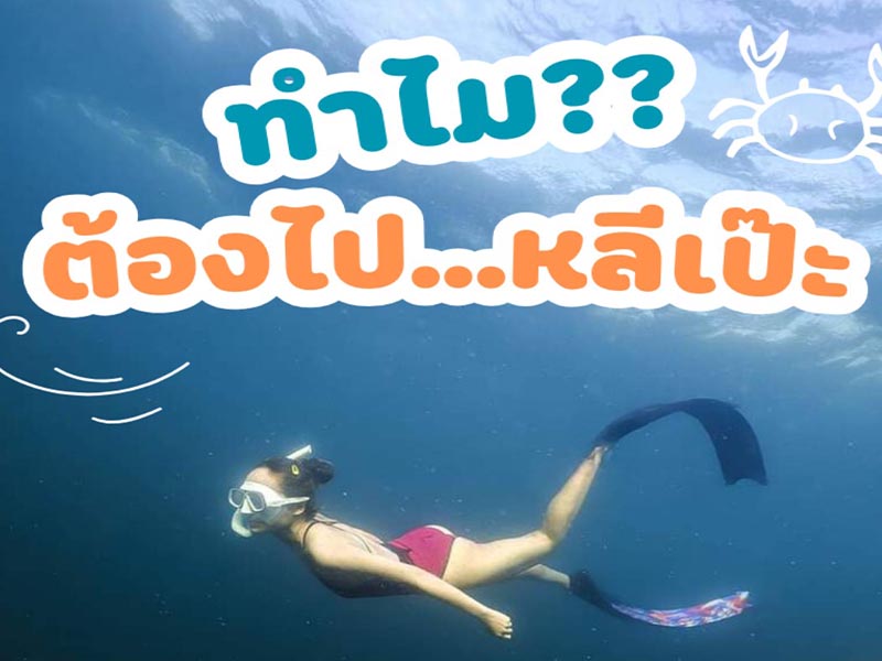 ทัวร์ในประเทศเที่ยวที่ "เกาะหลีเป๊ะ" วันหยุดปลายปี จังหวัด สตูล 1732712041Sayhithailand02.jpg