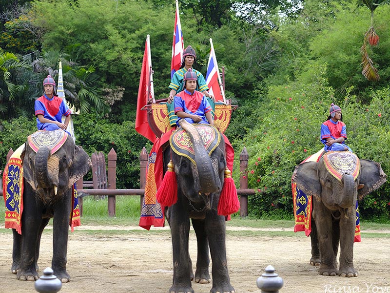 เที่ยวชมโชว์ช้าง ( Samphran Elephant Ground & Zoo )ลานแสดงช้างและฟาร์มจระเข้ | สามพราน นครปฐม 1732806613Sayhithailand02.jpg