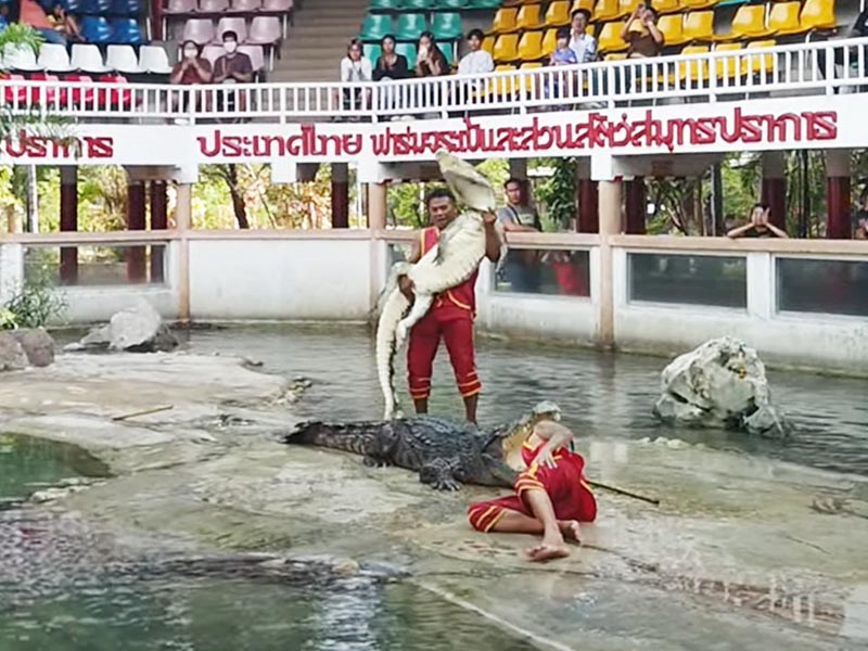 พาเที่ยวฟาร์มจระเข้สมุทรปราการ (Samutprakarn Crocodile Farm and Zoo ) 1732808877Sayhithailand01.jpg