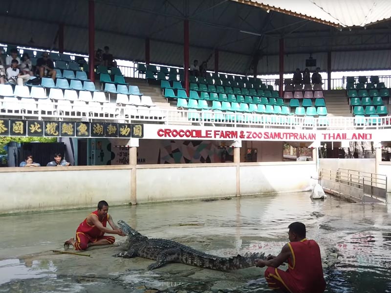 พาเที่ยวฟาร์มจระเข้สมุทรปราการ (Samutprakarn Crocodile Farm and Zoo ) 1732808877Sayhithailand02.jpg