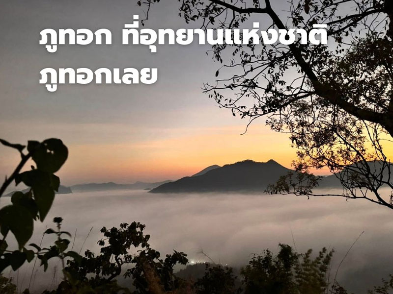 ภูทอก ( Phu Thok National Park ) ที่ อุทยานแห่งชาติภูทอก เลย 1733145772Sayhithailand01.jpg