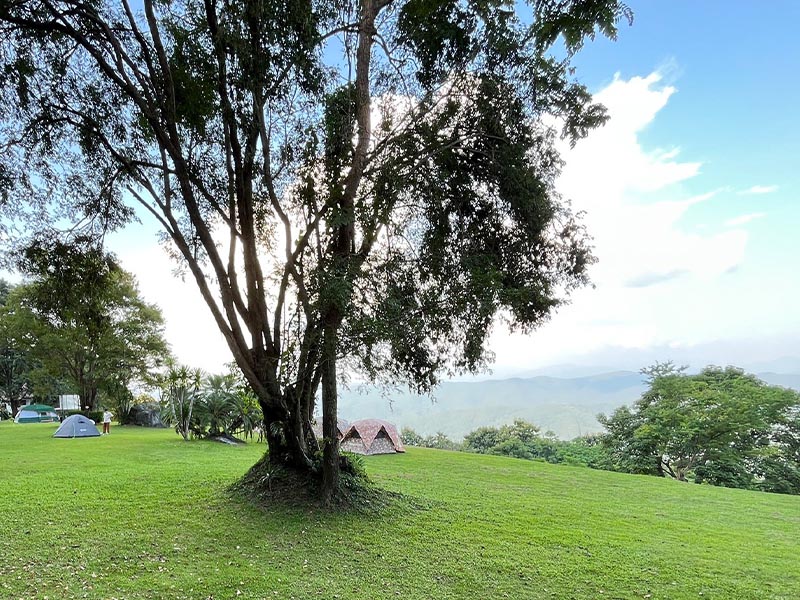 กลางคืนกางเต็นท์นอน (Doi Samoe Dao ) ชมทะเลหมอกยามเช้าดอยเสมอดาว น่าน 1733373558Sayhithailand02.jpg