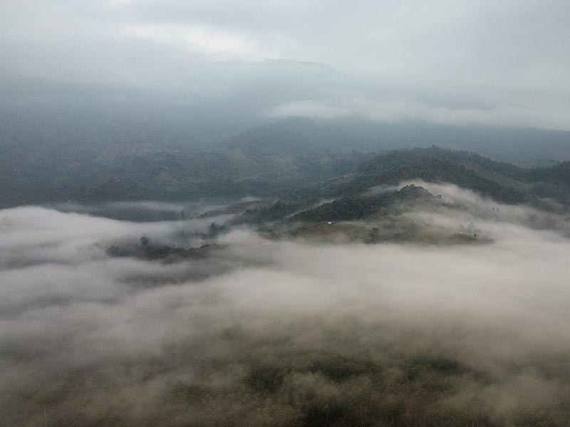 สวนยาหลวง ( Suan Ya Luang ) ธรรมชาติ เขียว สวย สามฤดู แบบฟินๆ | สวนยาหลวงจังหวัดน่าน 1733380245Sayhithailand03.jpg