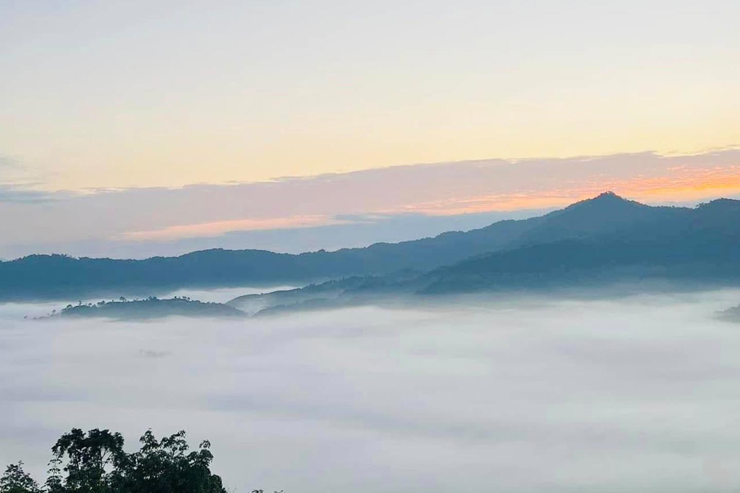 สัมผัสทะเลหมอก ดอกไม้ป่า พิชิตภูลังกา (Phu Langka) ชมอาทิตย์ ขึ้น-ลง ที่พะเยา 1733490387Sayhithailand02.jpg