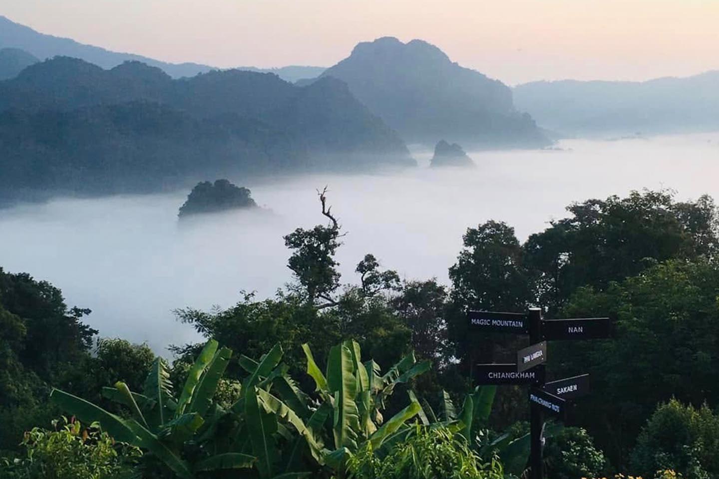 สัมผัสทะเลหมอก ดอกไม้ป่า พิชิตภูลังกา (Phu Langka) ชมอาทิตย์ ขึ้น-ลง ที่พะเยา 1733490564Sayhithailand03.jpg