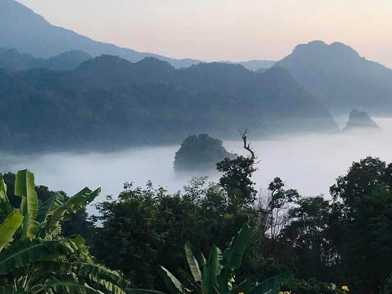 สัมผัสทะเลหมอก ดอกไม้ป่า พิชิตภูลังกา (Phu Langka) ชมอาทิตย์ ขึ้น-ลง ที่พะเยา 1733495253Sayhithailand01.jpg