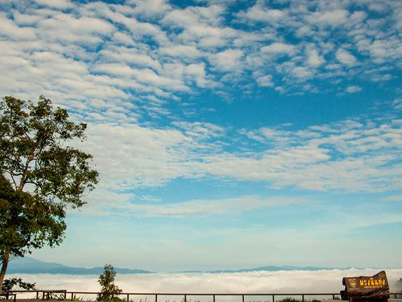 เขาพะเนินทุ่ง ( Khao Phanoen Thung Phetchaburi ) ที่เที่ยวเพชรบุรี 1739887220Sayhithailand01.jpg