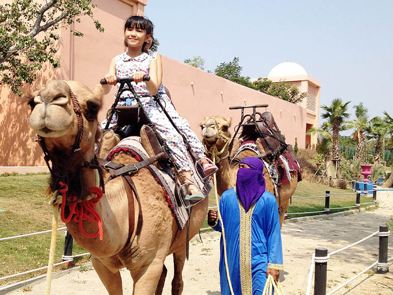 คาเมล รีพับบลิค (Camel Republic Phetchaburi ) ที่เที่ยวชะอำ | ที่เที่ยวเพชรบุรี 1739978257Sayhithailand01.jpg