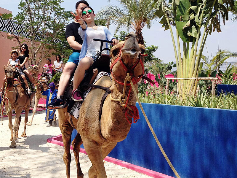 คาเมล รีพับบลิค (Camel Republic Phetchaburi ) ที่เที่ยวชะอำ | ที่เที่ยวเพชรบุรี 1739978257Sayhithailand02.jpg