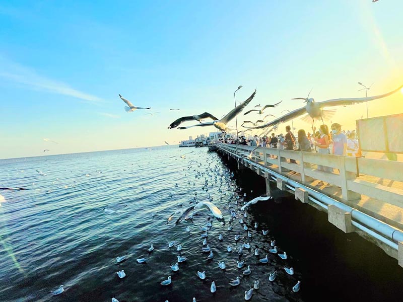 สถานตากอากาศบางปู (Bangpu Recreation Center) | จังหวัด สมุทรปราการ 1741793507Sayhithailand01.jpg
