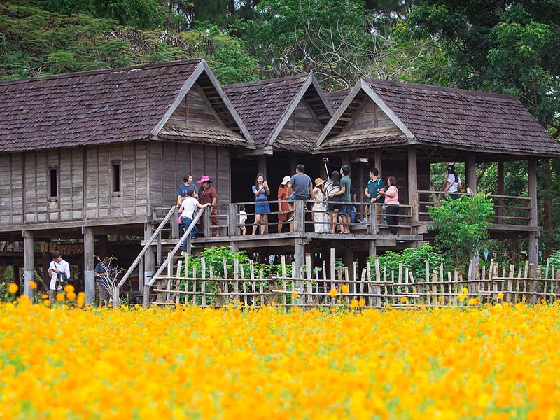 พาเที่ยว จิม ทอมป์สัน ฟาร์ม ( Jim Thompson Farm) ปักธงชัย | นครราชสีมา 1746339940Sayhithailand01.jpg