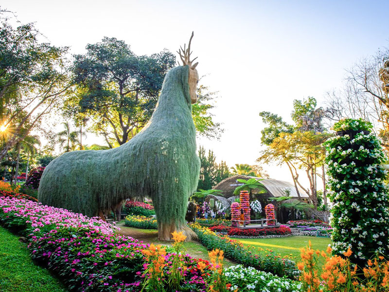 เที่ยวดอยตุง ( Doi Tung @ChiangRai ) สวนแม่ฟ้าหลวง | เชียงราย 1748267872Sayhithailand01.jpg
