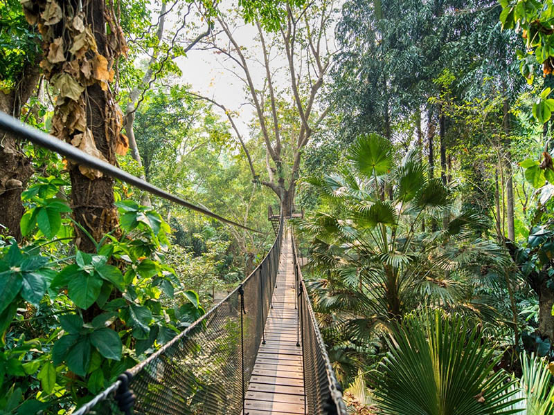 เที่ยวดอยตุง ( Doi Tung @ChiangRai ) สวนแม่ฟ้าหลวง | เชียงราย 1748267872Sayhithailand02.jpg