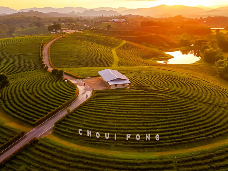 ภูชี้ฟ้า เที่ยวเชียงราย ( Phu chi fa viewing point @ChiangRai ) | เชียงราย 1748353211Sayhithailand01.jpg
