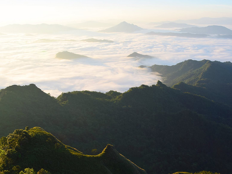 เที่ยวเชียงราย ภูชี้ดาว ( Phu Chi Dao @ChiangRai ) เชียงราย | เชียงราย 1748354068Sayhithailand01.jpg