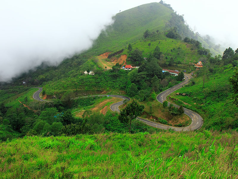 ดอยผาตั้ง ( Doi Pha Tang @ChiangRai ) ชมดอกพญาเสือโคร่ง เวียงแก่น |เชียงราย 1748354693Sayhithailand01.jpg