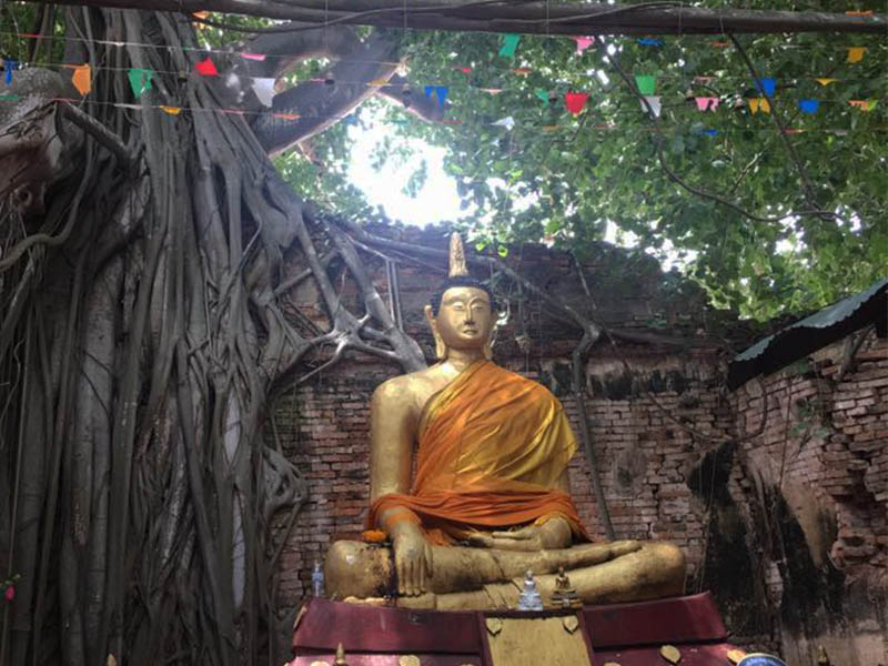 โบสถ์ต้นโพธิ์ วัดไทร ( Bodhi Tree Church, Wat Sai ) อำเภออินทร์บุรี | จังหวัดสิงห์บุรี 1755433904Sayhithailand02.jpg