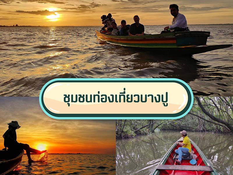 ที่ท่องเที่ยว ป่าชายเลนบางปู (Bang Pu Mangrove Forest ) | จังหวัดปัตตานี 1755939203Sayhithailand02.jpg