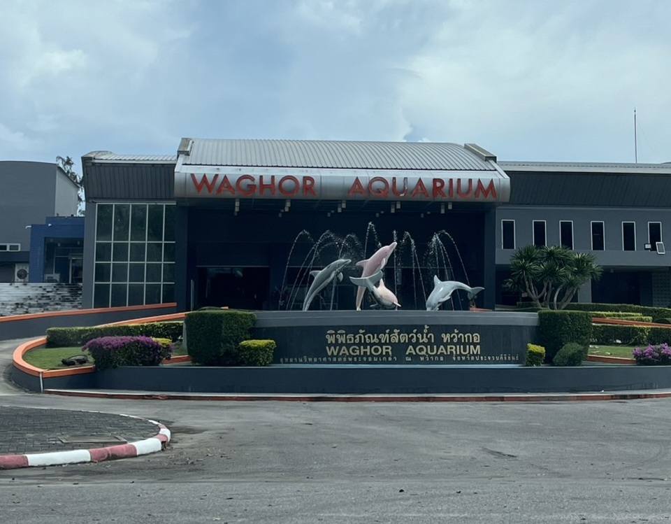 ไปเที่ยว พิพิธภัณฑ์สัตว์น้ำที่เปิด หว้ากอ(Waghor Aquarium) มีตู้ปลาและสัตว์น้ำหลาก 1732285098Sayhithailand02.jpg