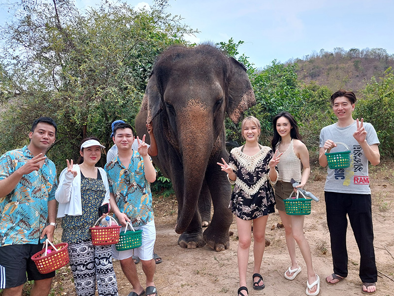 พาเที่ยวเลี้บงช้างปางช้างหัสดินทร์ หัวหิน (Pheung Wan Elephant Foundation) | จังหวัดประจวบคีรีขันธ์ 1740886828Sayhithailand01.jpg