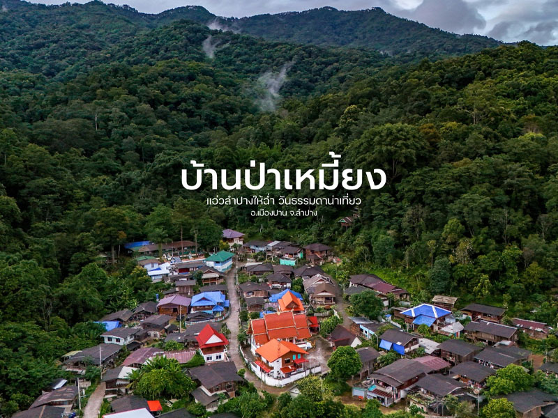 ที่เที่ยวลำปาง ชุมชนบ้านป่าเหมี้ยง ( Ban Pa Miang ) แจ้ซ้อน | ลำปาง 1747316029Sayhithailand01.jpg