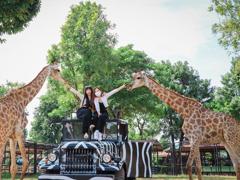 ศรีอยุธยา ไลอ้อน ปาร์ค (Sriayuthaya Lion Park) | อยุธยา 1748078901Sayhithailand01.jpg