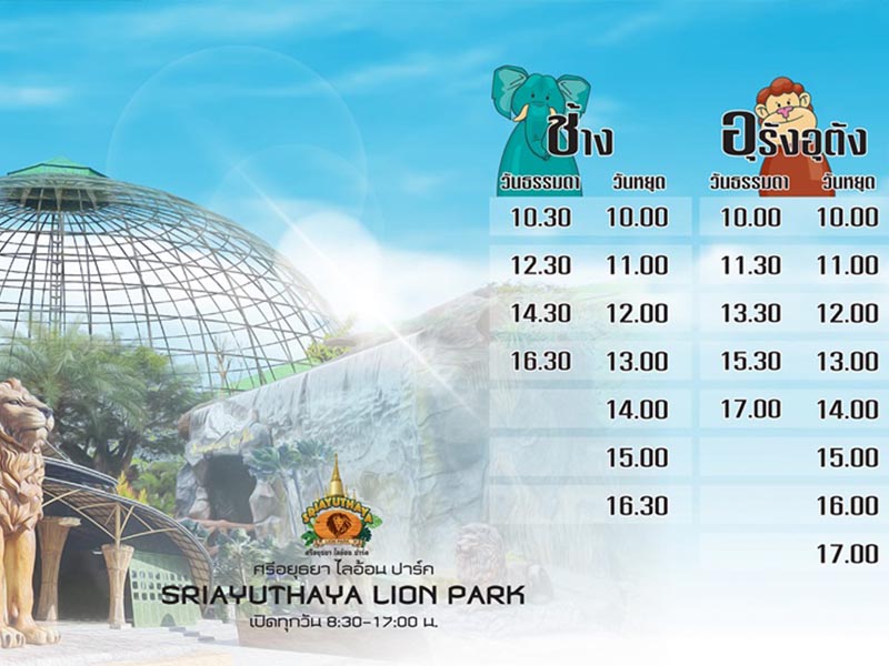 ศรีอยุธยา ไลอ้อน ปาร์ค (Sriayuthaya Lion Park) | อยุธยา 1748079018Sayhithailand02.jpg