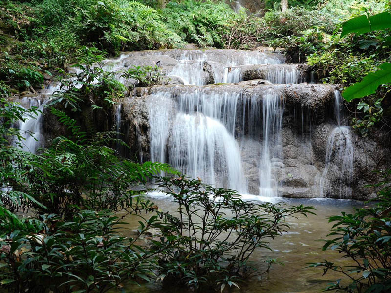 1748434179Sayhithailand01.jpg