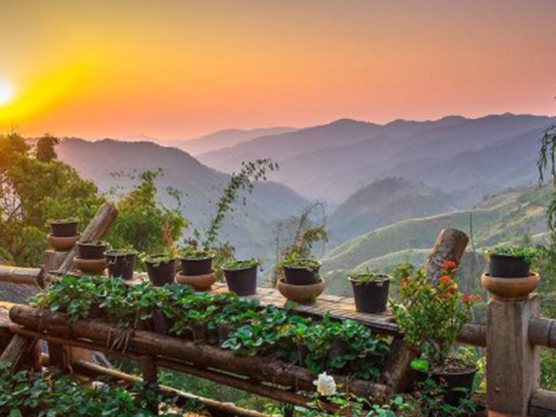 หมู่บ้านอาข่า บ้านหล่อโย ( Akha Village, Ban Lo Yo @ChiangRai ) | เชียงราย 1748434843Sayhithailand01.jpg
