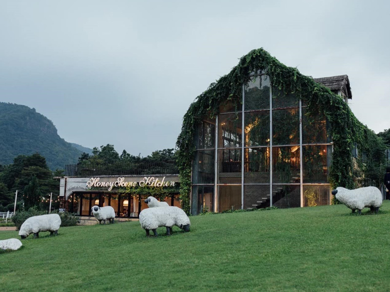 ที่ท่องเที่ยวราชบุรี The Scenery Vintage Farm | สวนผึ้ง จ.ราชบุรี 1748665822Sayhithailand01.jpg