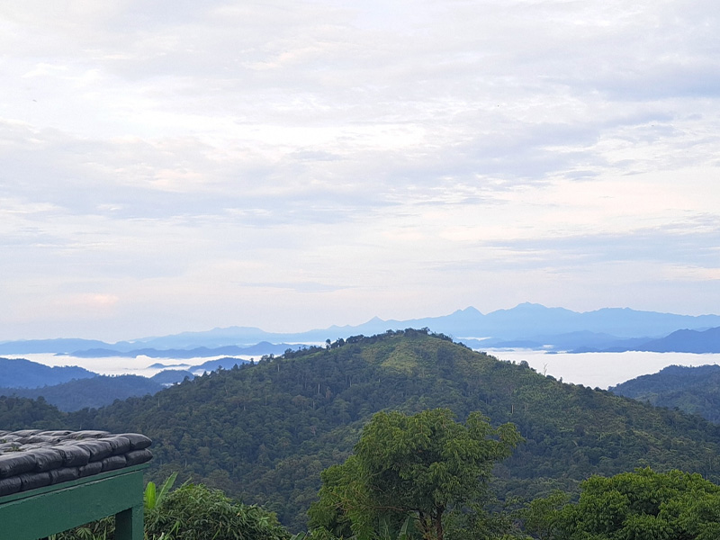 1748684530Sayhithailand01.jpg