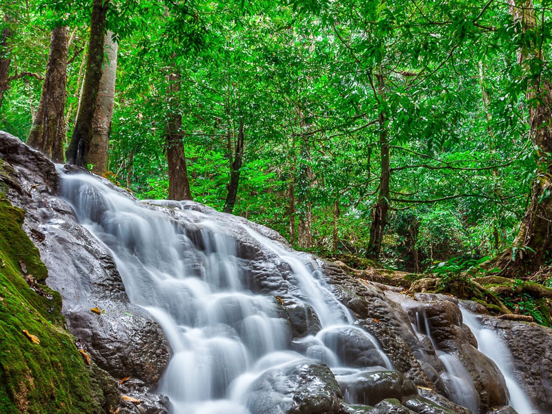 น้ำตกสระนางมโนราห์ ( Sranangmanora Waterfall ) น้ำตกสวย ใจกลางป่าใหญ่ | พังงา 1748935666Sayhithailand01.jpg