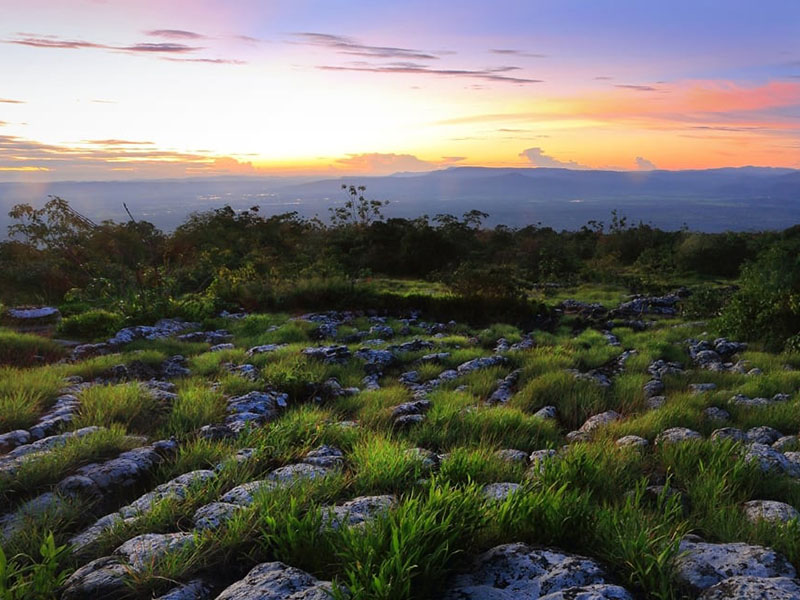 อุทยานแห่งชาติภูหินร่องกล้า ( Phu Hin Rong Kla National Park ) | พิษณุโลก 1749132522Sayhithailand01.jpg
