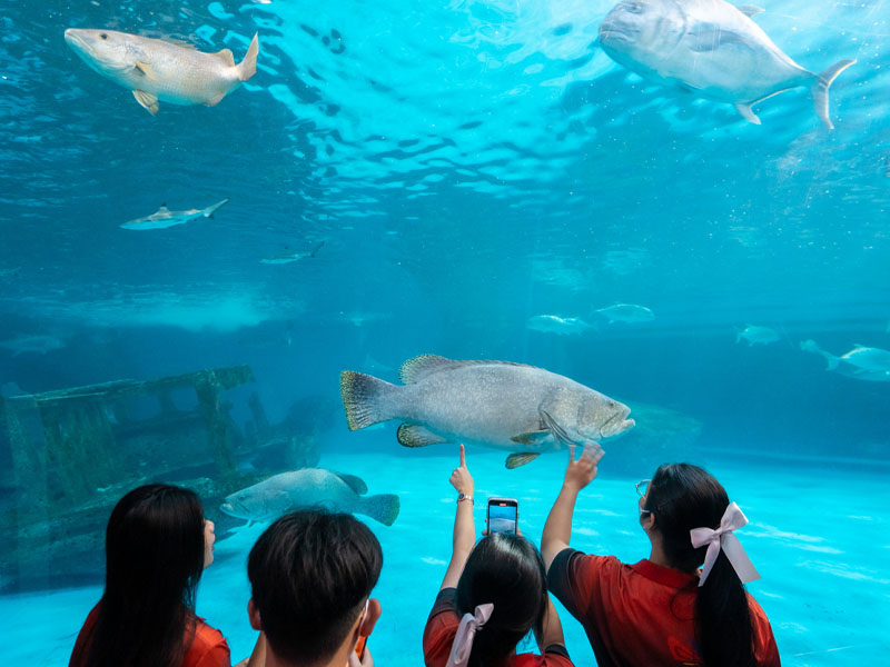 ที่ท่องเที่ยว บางแสน อควาเรียม (Bangsaen Aquarium) | ชลบุรี 1751111555Sayhithailand01.jpg