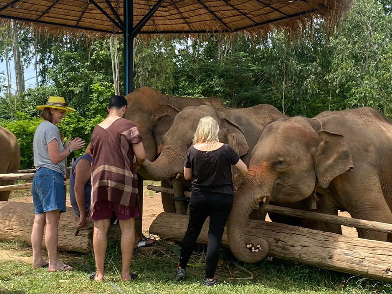 1753190019Sayhithailand02.jpg