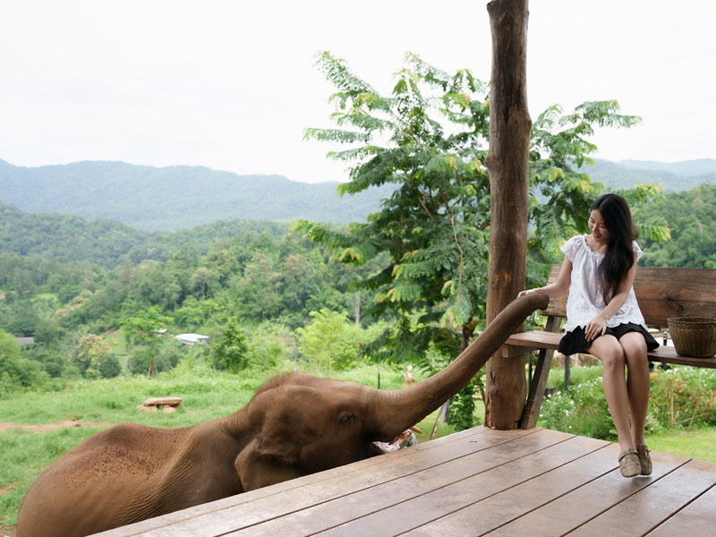 1753190056Sayhithailand01.jpg