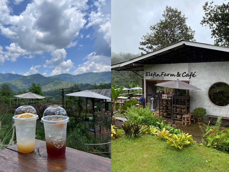 1753190056Sayhithailand02.jpg
