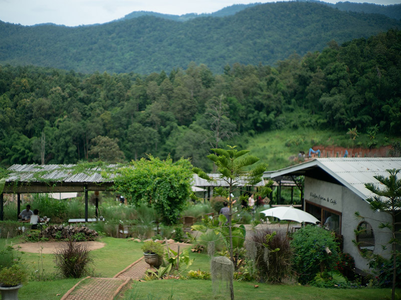 1753190056Sayhithailand04.jpg