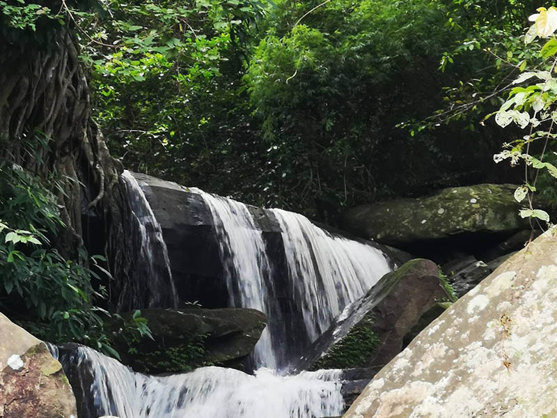 1753363991Sayhithailand01.jpg