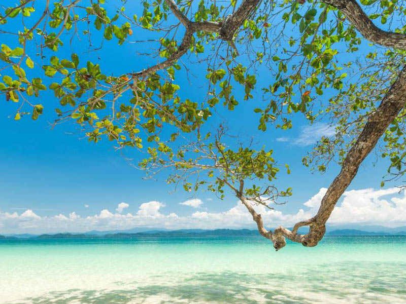 เกาะค้างคาว ( Ko Khang Khao Island or Bat Island @ Ranong)| ระนอง 1753600490Sayhithailand01.jpg