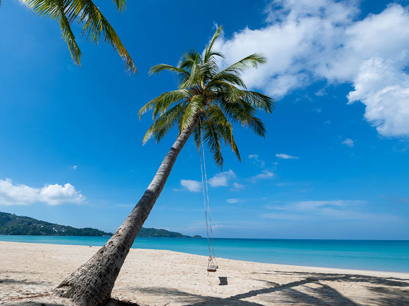 หาดป่าตอง ( Patong Beach ) เป็นชายหาดในอำเภอกะทู้ | ภูเก็ต 1753612328Sayhithailand02.jpg