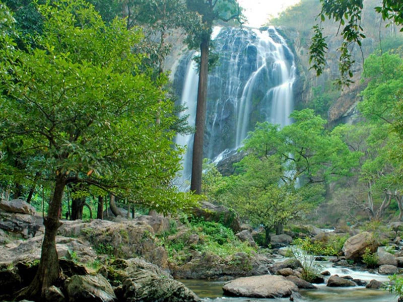 1753669224Sayhithailand01.jpg