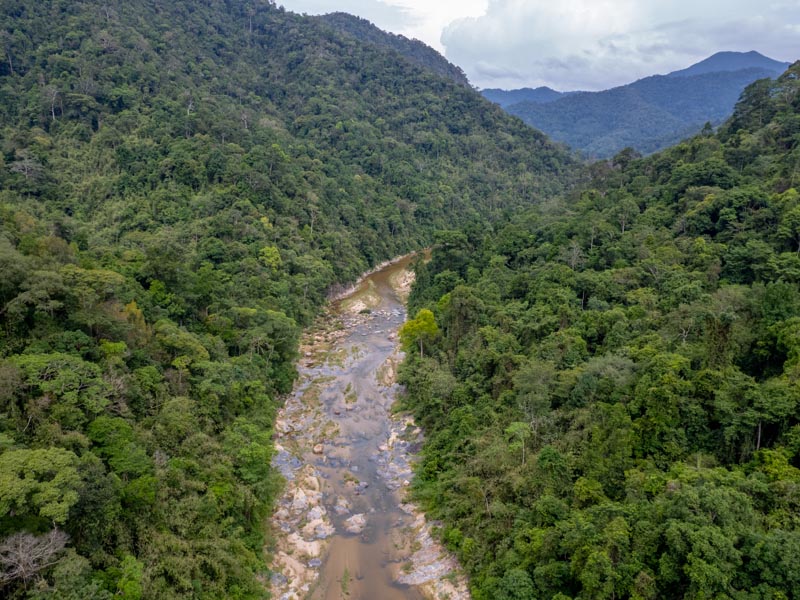 1753798109Sayhithailand01.jpg