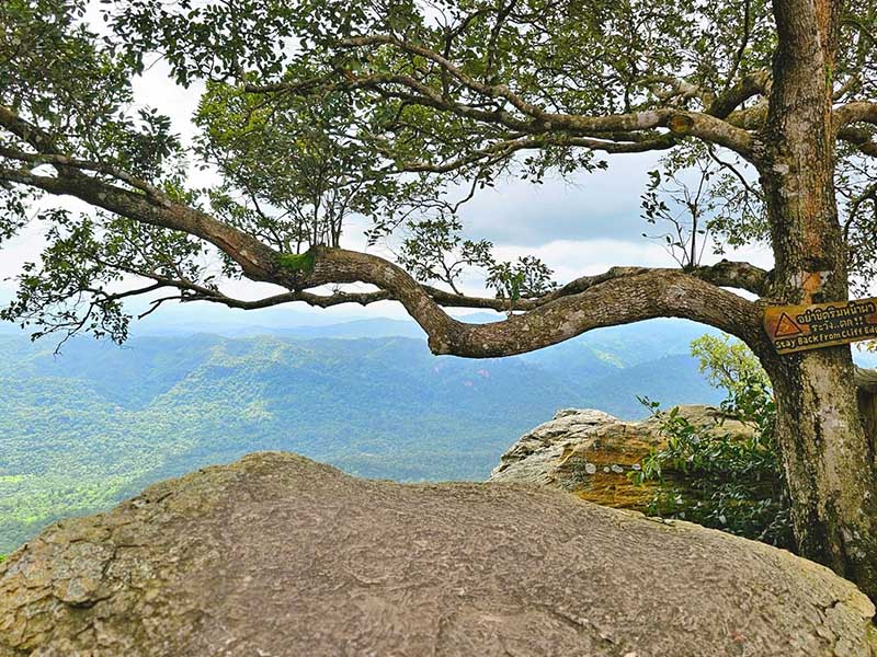 ผาสุดแผ่นดิน ( Cliff at the End of the Land ) บ้านไร่ | จังหวัดชัยภูมิ 1756021575Sayhithailand02.jpg