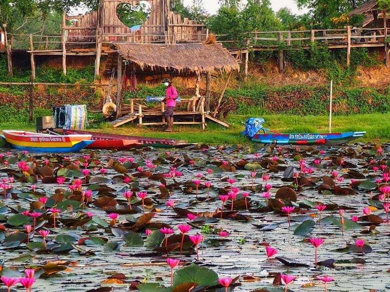 1756040878Sayhithailand01.jpg