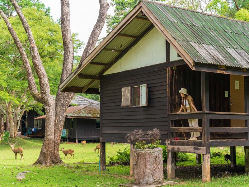 1756130090Sayhithailand02.jpg