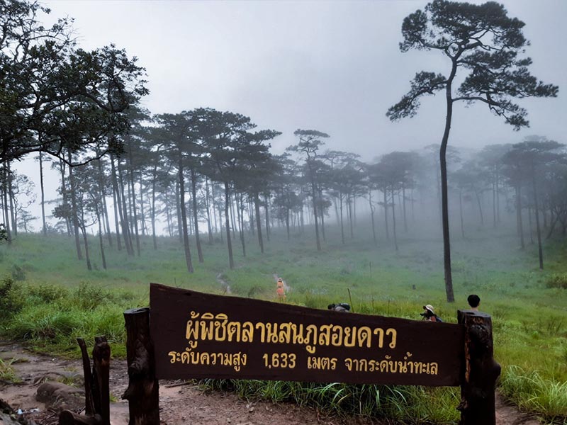 1758442412Sayhithailand01.jpg