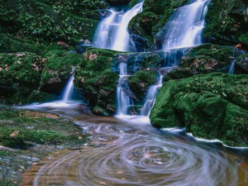 น้ำตกสายทิพย์ ( Sai Thip Waterfall ) ใน อุทยานแห่งชาติภูสอยดาว | อุตรดิตถ์ 1758442883Sayhithailand01.jpg