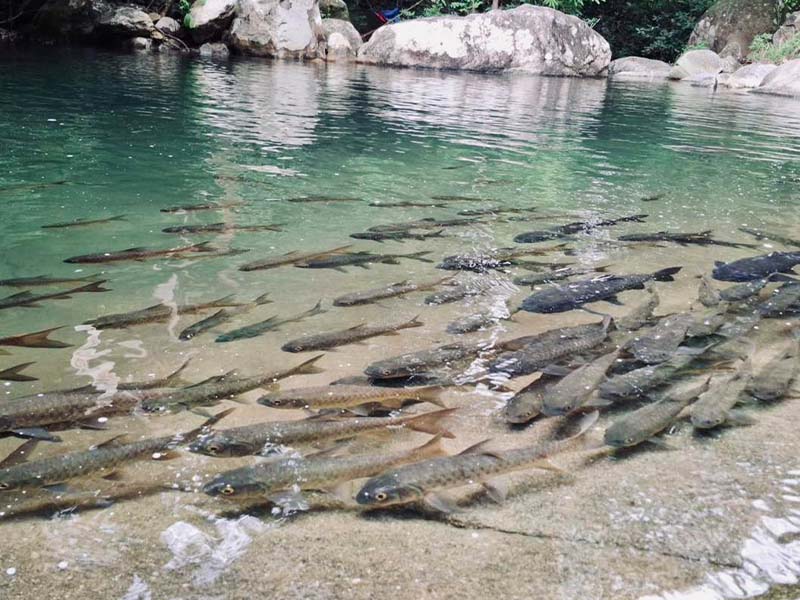 ที่ท่องเที่ยว น้ำตกเขาชะเมา ( Khao Chamao Waterfall ) อำเภอเขาชะเมา | จังหวัดระยอง 1760247989Sayhithailand02.jpg